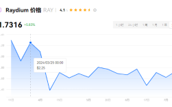 ray币是百倍币吗?ray币有潜力吗?