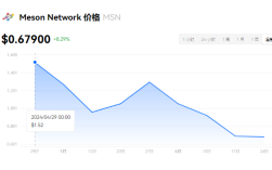 msn币值得买吗？msn币未来价值预测